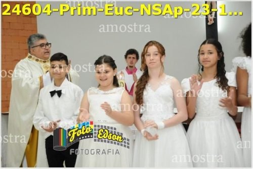24604-Prim-Euc-NSAp-23-11-2025