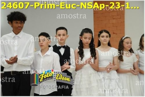 24607-Prim-Euc-NSAp-23-11-2025