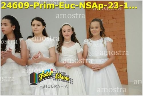 24609-Prim-Euc-NSAp-23-11-2025