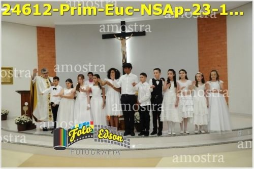 24612-Prim-Euc-NSAp-23-11-2025