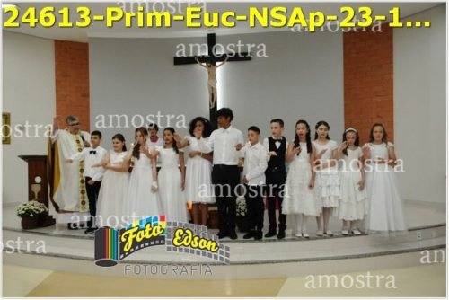 24613-Prim-Euc-NSAp-23-11-2025