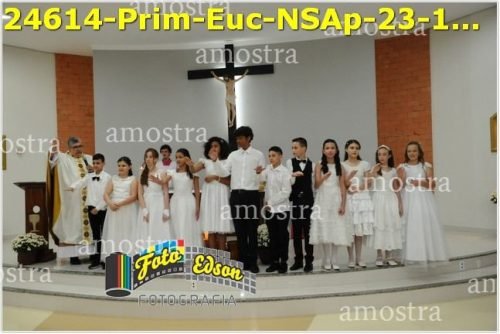 24614-Prim-Euc-NSAp-23-11-2025