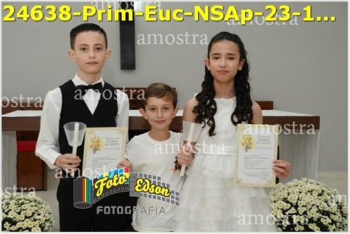 24638-Prim-Euc-NSAp-23-11-2025