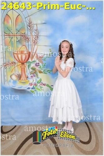 24643-Prim-Euc-NSAp-23-11-2025