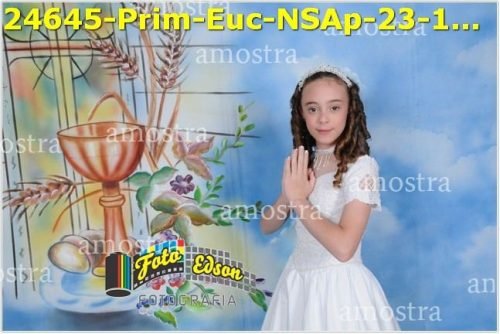 24645-Prim-Euc-NSAp-23-11-2025