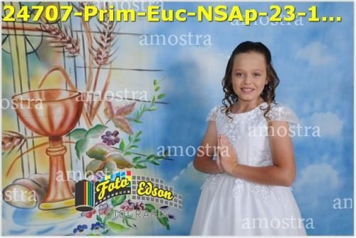 24707-Prim-Euc-NSAp-23-11-2025