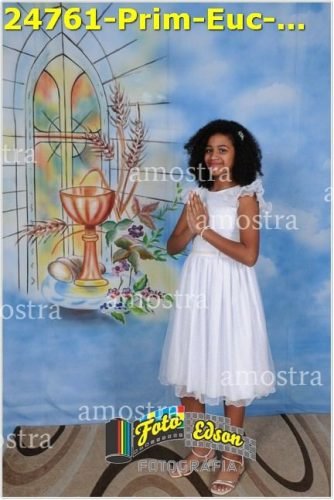 24761-Prim-Euc-NSAp-23-11-2025