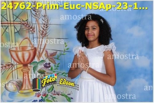 24762-Prim-Euc-NSAp-23-11-2025
