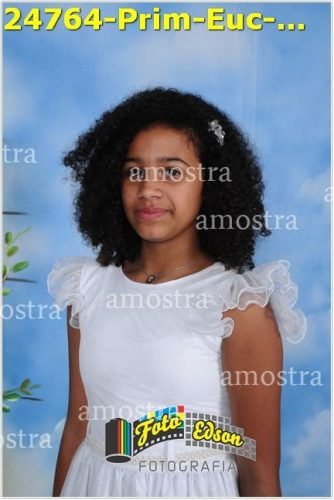 24764-Prim-Euc-NSAp-23-11-2025