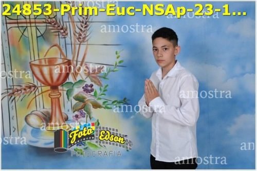 24853-Prim-Euc-NSAp-23-11-2025