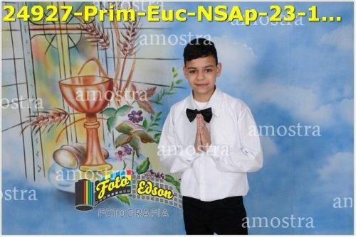 24927-Prim-Euc-NSAp-23-11-2025